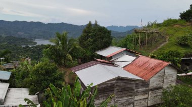 Milford Ses ve Kuşkulu Ses 'in Dağları ve Fiyortları, Yeni Zelanda. Bengoh Vadisi, Sarawak.