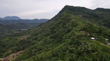Milford Ses ve Kuşkulu Ses 'in Dağları ve Fiyortları, Yeni Zelanda. Bengoh Vadisi, Sarawak.