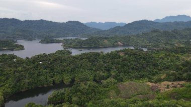 Milford Ses ve Kuşkulu Ses 'in Dağları ve Fiyortları, Yeni Zelanda. Bengoh Vadisi, Sarawak.