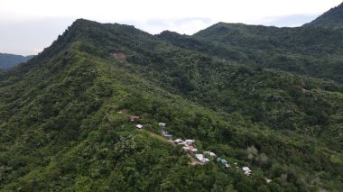 Milford Ses ve Kuşkulu Ses 'in Dağları ve Fiyortları, Yeni Zelanda. Bengoh Vadisi, Sarawak.