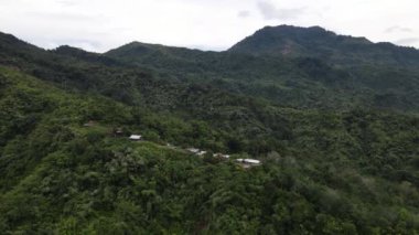 Milford Ses ve Kuşkulu Ses 'in Dağları ve Fiyortları, Yeni Zelanda. Bengoh Vadisi, Sarawak.