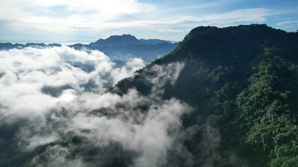 Milford Ses ve Kuşkulu Ses 'in Dağları ve Fiyortları, Yeni Zelanda. Bengoh Vadisi, Sarawak.
