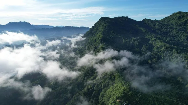 Milford Ses ve Kuşkulu Ses 'in Dağları ve Fiyortları, Yeni Zelanda. Bengoh Vadisi, Sarawak.
