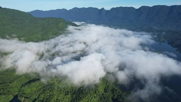 Milford Ses ve Kuşkulu Ses 'in Dağları ve Fiyortları, Yeni Zelanda. Bengoh Vadisi, Sarawak.