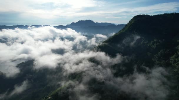 Mountains Fjords Milford Sound Doubtful Sound Nový Zéland Bengoh Valley — Stock video