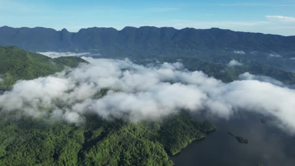 Mountains Fjords Milford Sound Doubtful Sound Νέα Ζηλανδία Κοιλάδα Bengoh — Αρχείο Βίντεο