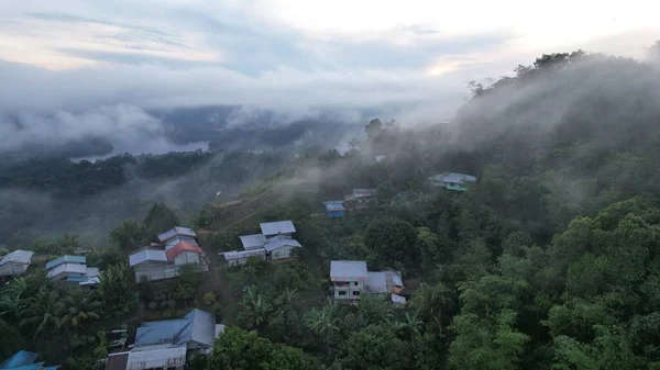Milford Ses ve Kuşkulu Ses 'in Dağları ve Fiyortları, Yeni Zelanda. Bengoh Vadisi, Sarawak.