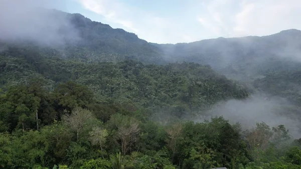 Milford Ses ve Kuşkulu Ses 'in Dağları ve Fiyortları, Yeni Zelanda. Bengoh Vadisi, Sarawak.