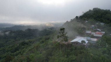 Milford Ses ve Kuşkulu Ses 'in Dağları ve Fiyortları, Yeni Zelanda. Bengoh Vadisi, Sarawak.