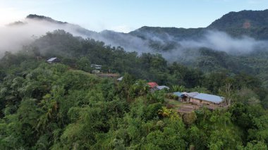 Milford Ses ve Kuşkulu Ses 'in Dağları ve Fiyortları, Yeni Zelanda. Bengoh Vadisi, Sarawak.