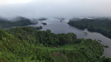 Milford Ses ve Kuşkulu Ses 'in Dağları ve Fiyortları, Yeni Zelanda. Bengoh Vadisi, Sarawak.