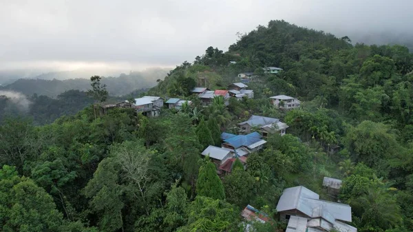 米尔福德声音和怀疑声音的山脉和峡湾 新西兰 沙捞越本戈谷地 — 图库照片