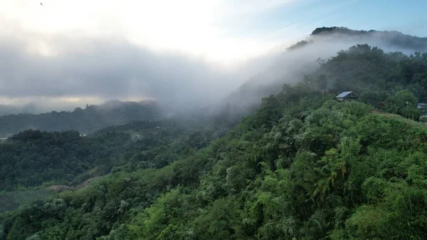 Milford Ses ve Kuşkulu Ses 'in Dağları ve Fiyortları, Yeni Zelanda. Bengoh Vadisi, Sarawak.