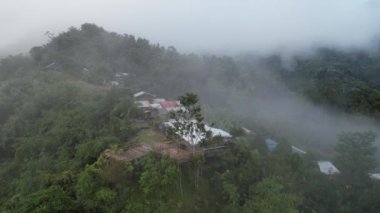 Milford Ses ve Kuşkulu Ses 'in Dağları ve Fiyortları, Yeni Zelanda. Bengoh Vadisi, Sarawak.