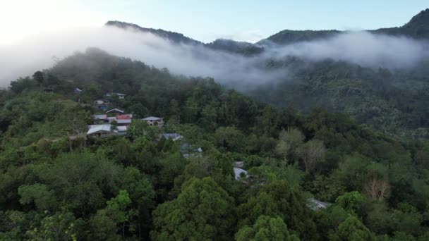 米尔福德声音和怀疑声音的山脉和峡湾 新西兰 沙捞越本戈谷地 — 图库视频影像