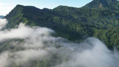 Milford Ses ve Kuşkulu Ses 'in Dağları ve Fiyortları, Yeni Zelanda. Bengoh Vadisi, Sarawak.