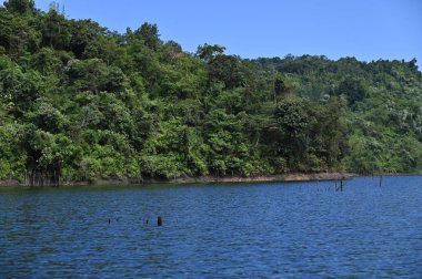 Milford Ses ve Kuşkulu Ses 'in Dağları ve Fiyortları, Yeni Zelanda. Bengoh Vadisi, Sarawak.