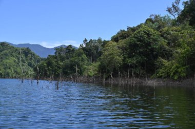 Milford Ses ve Kuşkulu Ses 'in Dağları ve Fiyortları, Yeni Zelanda. Bengoh Vadisi, Sarawak.