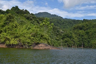 Milford Ses ve Kuşkulu Ses 'in Dağları ve Fiyortları, Yeni Zelanda. Bengoh Vadisi, Sarawak.