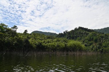 Milford Ses ve Kuşkulu Ses 'in Dağları ve Fiyortları, Yeni Zelanda. Bengoh Vadisi, Sarawak.