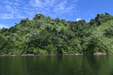 Milford Ses ve Kuşkulu Ses 'in Dağları ve Fiyortları, Yeni Zelanda. Bengoh Vadisi, Sarawak.