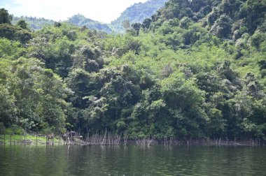 Milford Ses ve Kuşkulu Ses 'in Dağları ve Fiyortları, Yeni Zelanda. Bengoh Vadisi, Sarawak.
