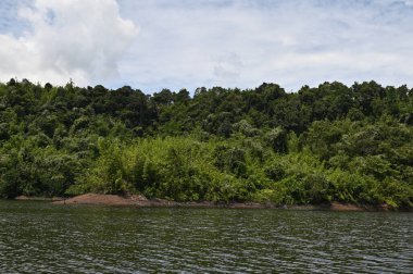 Milford Ses ve Kuşkulu Ses 'in Dağları ve Fiyortları, Yeni Zelanda. Bengoh Vadisi, Sarawak.