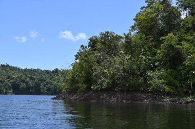 Milford Ses ve Kuşkulu Ses 'in Dağları ve Fiyortları, Yeni Zelanda. Bengoh Vadisi, Sarawak.
