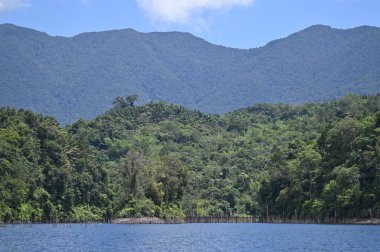 Milford Ses ve Kuşkulu Ses 'in Dağları ve Fiyortları, Yeni Zelanda. Bengoh Vadisi, Sarawak.