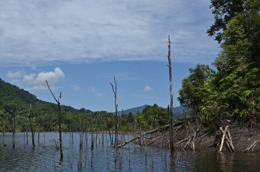 Milford Ses ve Kuşkulu Ses 'in Dağları ve Fiyortları, Yeni Zelanda. Bengoh Vadisi, Sarawak.
