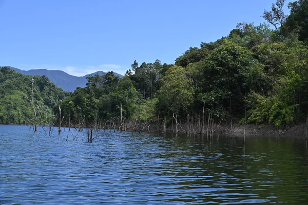 Milford Ses ve Kuşkulu Ses 'in Dağları ve Fiyortları, Yeni Zelanda. Bengoh Vadisi, Sarawak.