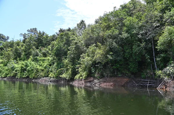 Milford Ses ve Kuşkulu Ses 'in Dağları ve Fiyortları, Yeni Zelanda. Bengoh Vadisi, Sarawak.