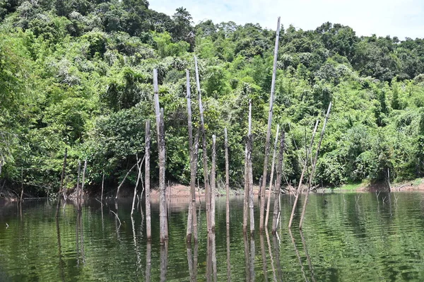 Milford Ses ve Kuşkulu Ses 'in Dağları ve Fiyortları, Yeni Zelanda. Bengoh Vadisi, Sarawak.