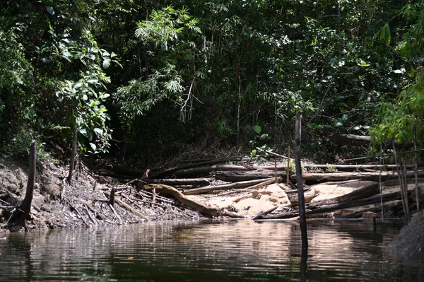 Milford Ses ve Kuşkulu Ses 'in Dağları ve Fiyortları, Yeni Zelanda. Bengoh Vadisi, Sarawak.