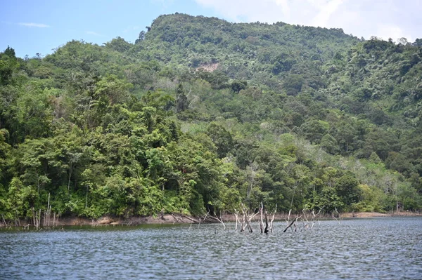 米尔福德声音和怀疑声音的山脉和峡湾 新西兰 沙捞越本戈谷地 — 图库照片