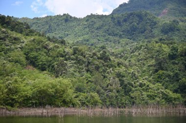 Milford Ses ve Kuşkulu Ses 'in Dağları ve Fiyortları, Yeni Zelanda. Bengoh Vadisi, Sarawak.
