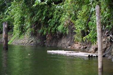 Milford Ses ve Kuşkulu Ses 'in Dağları ve Fiyortları, Yeni Zelanda. Bengoh Vadisi, Sarawak.
