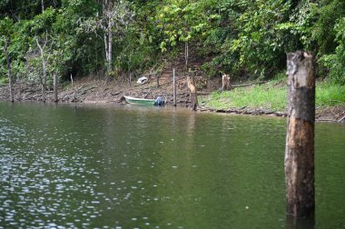 Milford Ses ve Kuşkulu Ses 'in Dağları ve Fiyortları, Yeni Zelanda. Bengoh Vadisi, Sarawak.