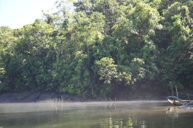 Milford Ses ve Kuşkulu Ses 'in Dağları ve Fiyortları, Yeni Zelanda. Bengoh Vadisi, Sarawak.