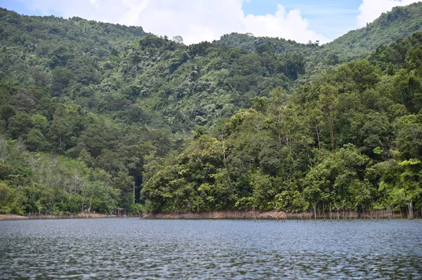 Milford Ses ve Kuşkulu Ses 'in Dağları ve Fiyortları, Yeni Zelanda. Bengoh Vadisi, Sarawak.