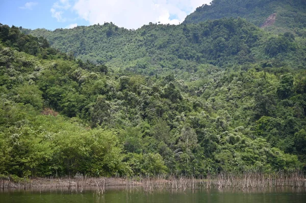 米尔福德声音和怀疑声音的山脉和峡湾 新西兰 沙捞越本戈谷地 — 图库照片