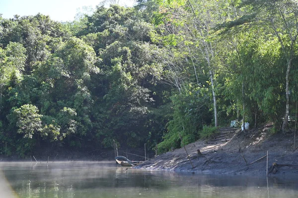 Milford Ses ve Kuşkulu Ses 'in Dağları ve Fiyortları, Yeni Zelanda. Bengoh Vadisi, Sarawak.