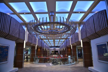 Marina Bay, Singapore - September 8, 2022: A Cruise Trip Aboard The Spectrum of The Seas