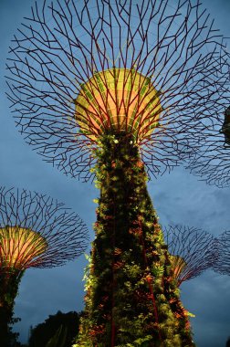 Marina Bay, Singapore - September 8, 2022: A Cruise Trip Aboard The Spectrum of The Seas