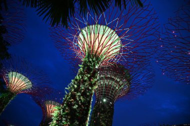 Marina Bay, Singapore - September 8, 2022: A Cruise Trip Aboard The Spectrum of The Seas