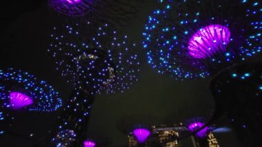 Marina Bay, Singapore - September 8, 2022: A Cruise Trip Aboard The Spectrum of The Seas