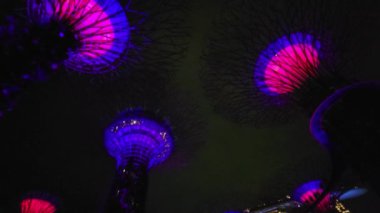 Marina Bay, Singapore - September 8, 2022: A Cruise Trip Aboard The Spectrum of The Seas