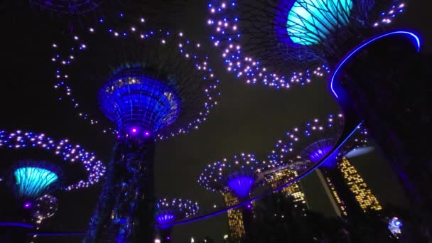 Marina Bay Singapore September 2022 Cruise Trip Spectrum Seas — Vídeo de Stock