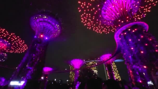 Marina Bay Singapore September 2022 Cruise Trip Spectrum Seas — стоковое видео