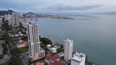 Kedah, Malezya 'nın Paddy Pirinç Tarlaları